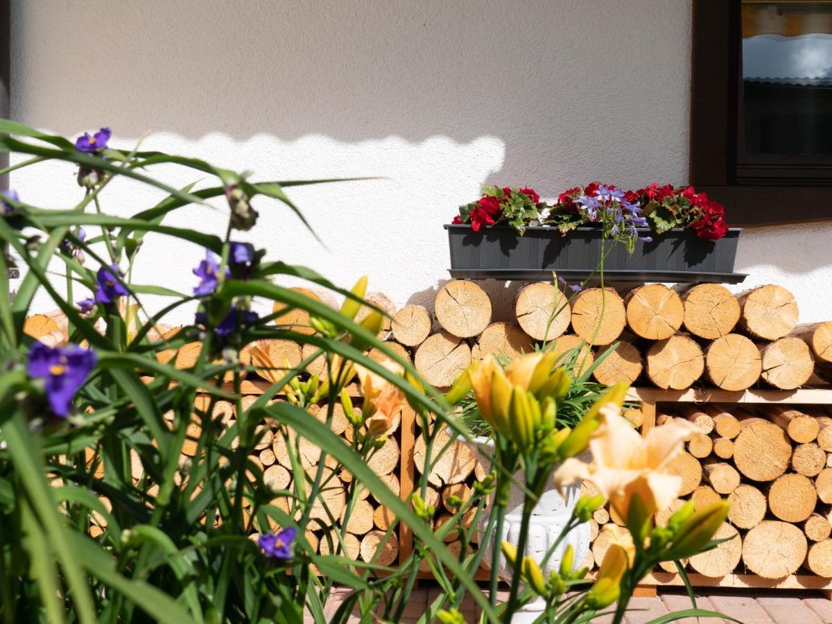 Apartament Haus Marianne Sankt Jakob in Defereggen Zewnętrze zdjęcie